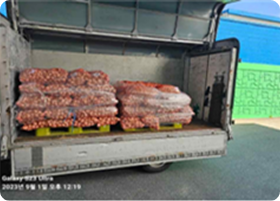 마늘 우량 종구 포대를 트럭에 적재해 농가로 출하하는 모습